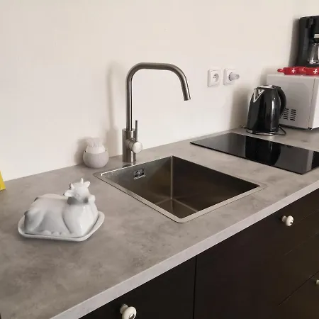 Swiss House Apartments Slavonice Exterior foto